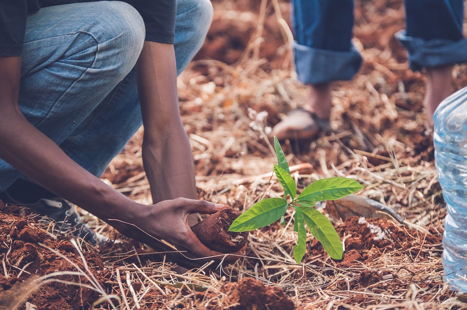 Planting Trees, Growing Environmental Leaders Clean Water Fund